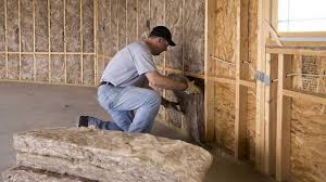 Best Basement Insulation  in Terrace Park, OH